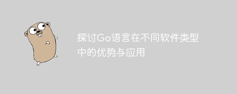 探讨Go语言在不同软件类型中的优势与应用