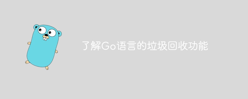 了解Go语言的垃圾回收功能