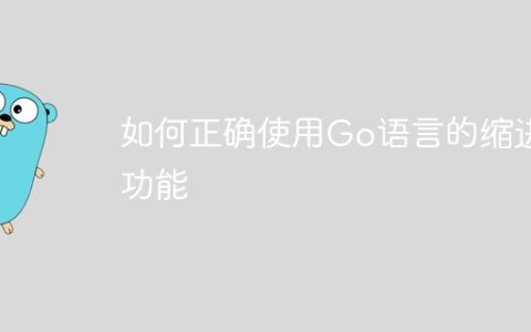 如何正确使用Go语言的缩进功能