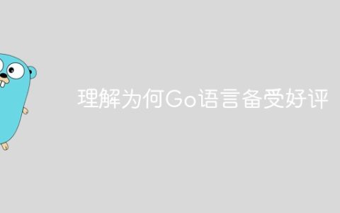 理解为何Go语言备受好评