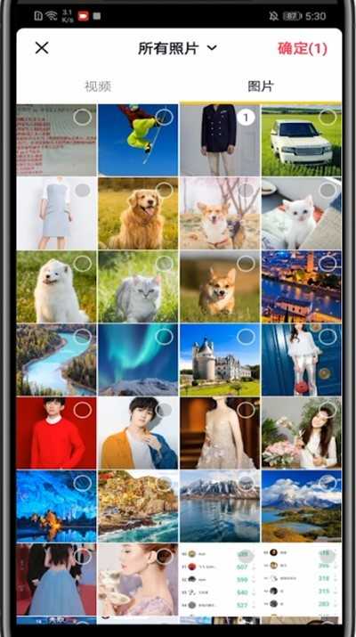 抖音发照片配文字的步骤教程插图7 抖音发照片配文字的步骤教程