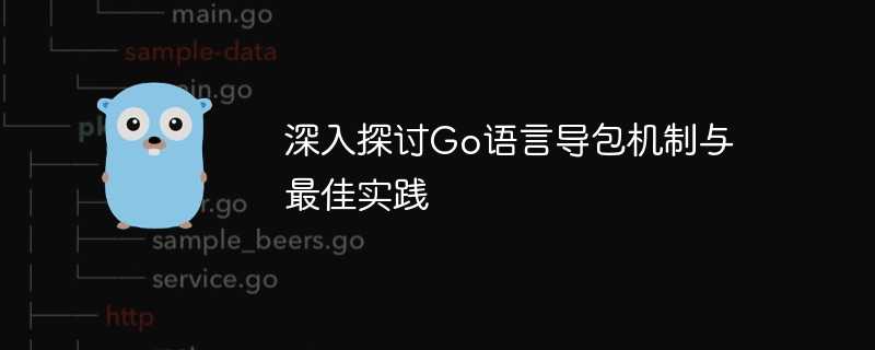 深入探讨Go语言导包机制与最佳实践