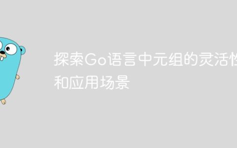探索Go语言中元组的灵活性和应用场景