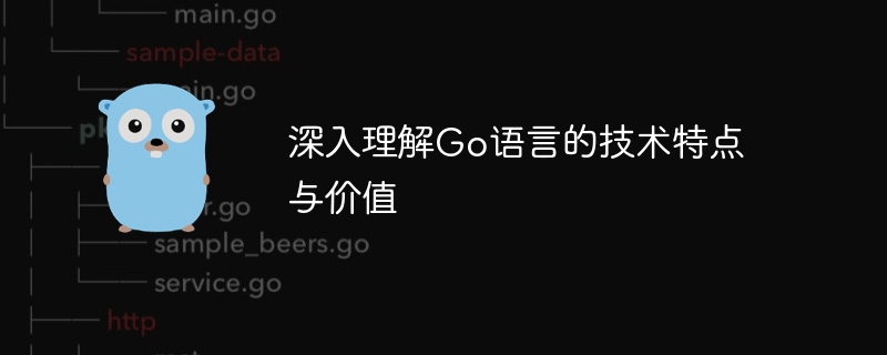 深入理解Go语言的技术特点与价值