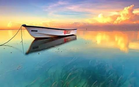 魔图app水中倒影特效位置及使用技巧