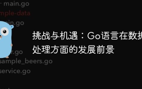 挑战与机遇：Go语言在数据处理方面的发展前景