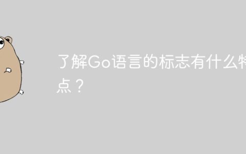 了解Go语言的标志有什么特点？