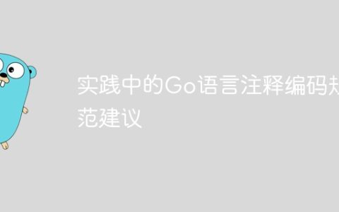 实践中的Go语言注释编码规范建议