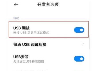小米11怎样设置usb调试?小米11设置usb调试的方法插图5 小米11怎样设置usb调试_小米11设置usb调试的方法