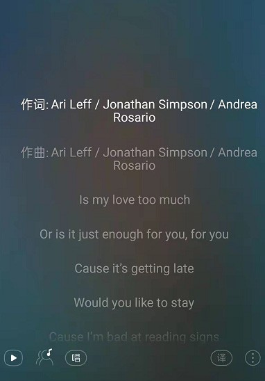 网易云音乐怎么关闭歌词翻译?网易云音乐关闭歌词翻译操作步骤插图3 网易云音乐怎么关闭歌词翻译_网易云音乐关闭歌词翻译操作步骤