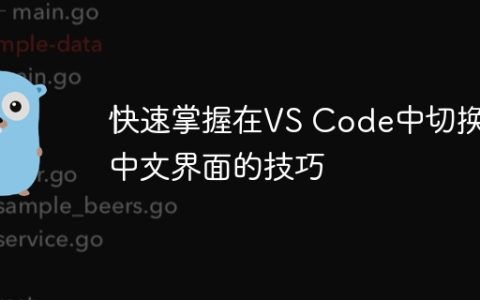 快速掌握在VS Code中切换为中文界面的技巧