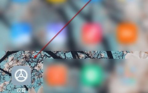 小米11dc调光怎么设置？小米11dc调光设置教程