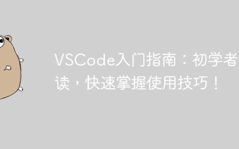 VSCode入门指南：初学者必读，快速掌握使用技巧！