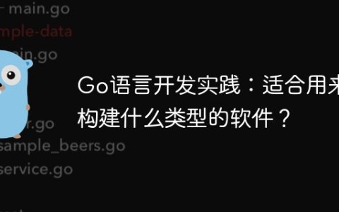Go语言开发实践：适合用来构建什么类型的软件？