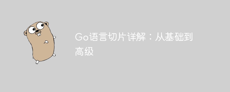 Go语言切片详解：从基础到高级