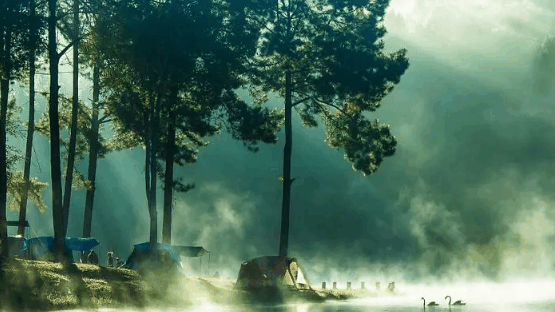 2024广东今年热的早不早?广东几月份开始热起来插图 2024广东今年热的早不早1