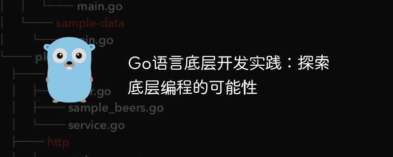 go语言底层开发实践：探索底层编程的可能性
