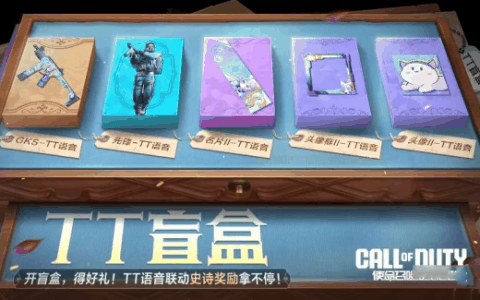 使命召唤手游TT盲盒有什么奖励-使命召唤手游TT盲盒奖励介绍