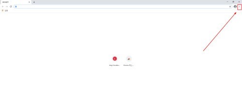 Google浏览器怎么关闭自动打开pdf文件_Google浏览器关闭自动打开pdf文件的方法