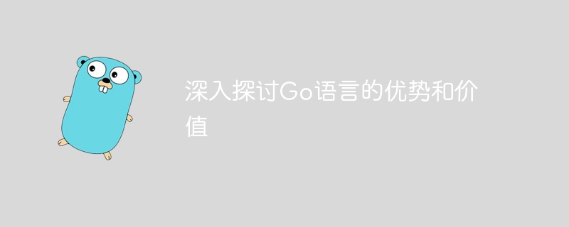 深入探讨Go语言的优势和价值插图 深入探讨go语言的优势和价值
