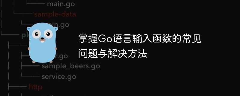 掌握Go语言输入函数的常见问题与解决方法插图 掌握go语言输入函数的常见问题与解决方法