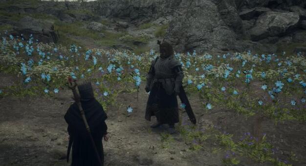 龙之信条2布连的执着攻略