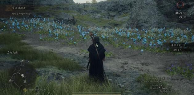 龙之信条2布连的执着攻略