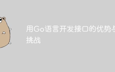 用Go语言开发接口的优势与挑战