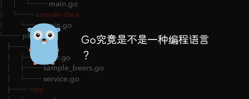 Go究竟是不是一种编程语言？