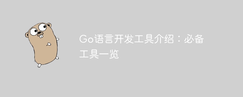Go语言开发工具介绍：必备工具一览
