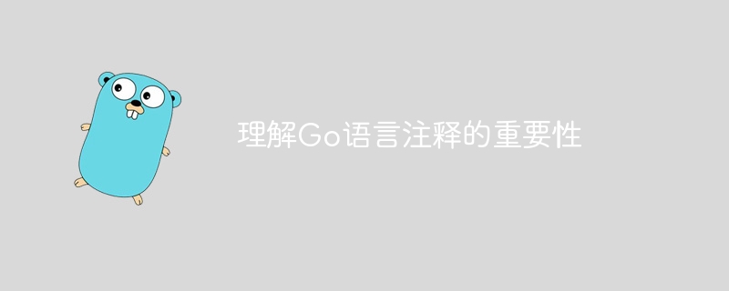 理解Go语言注释的重要性插图 理解go语言注释的重要性