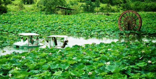 2024年夏天从什么时候开始算?哪个节气过后是夏天