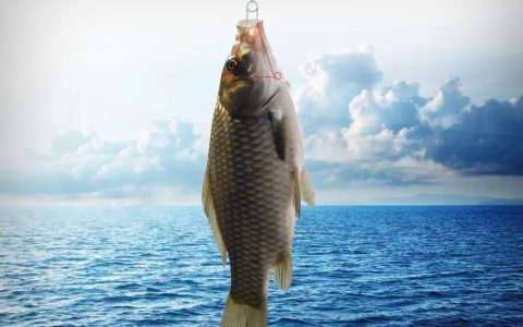 原神中怎样钓鱼 <h1>原神钓鱼指南：从入门到精通</h1>