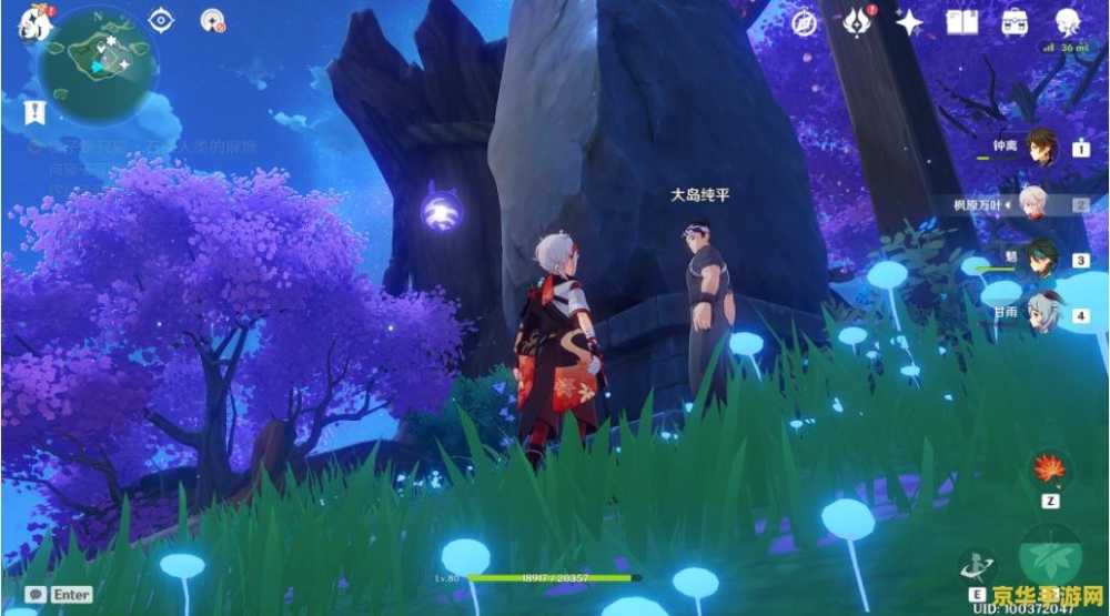 原神鸣神寻踪任务完成 原神鸣神寻踪任务攻略与深度解析