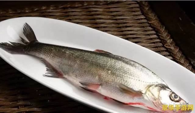 原神鲈鱼有几种 原神中的鲈鱼种类及其在游戏中的应用 原神鲈鱼有几种 原神中的鲈鱼种类及其在游戏中的应用