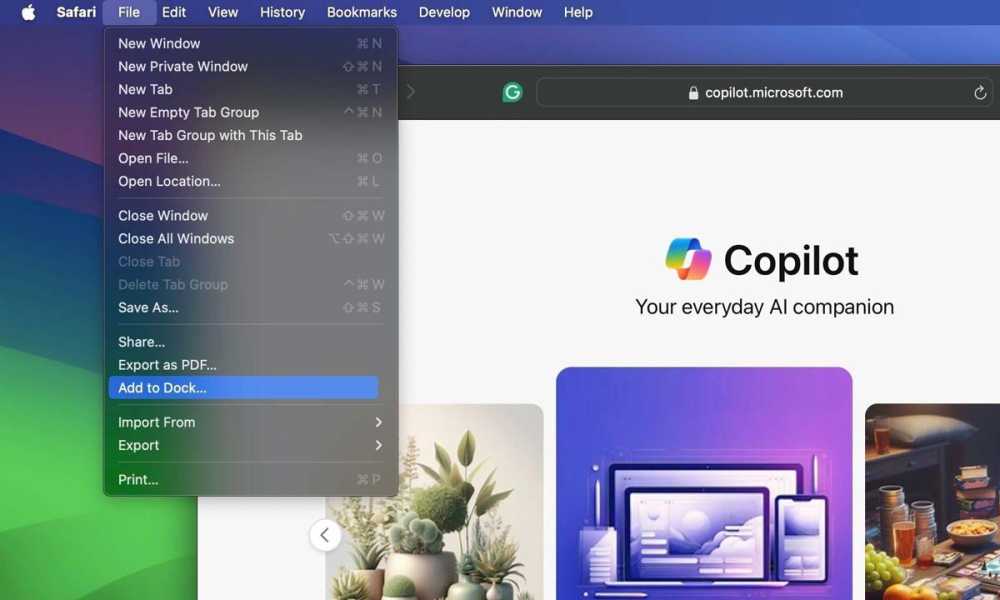 Mac系统怎么用Copilot? Mac笔记本安装使用Microsoft Copilot的技巧插图22
