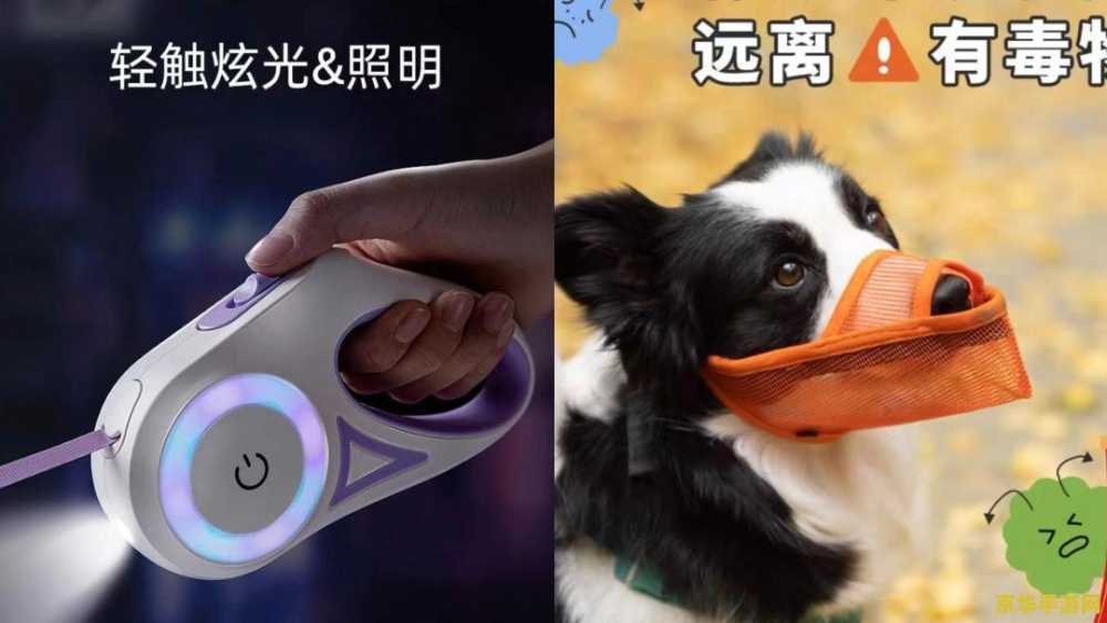 西游奇缘2宠物 西游奇缘2宠物系统深度解析