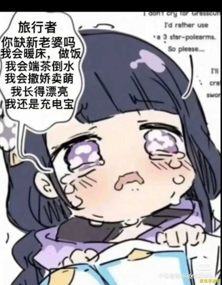 旧里翻3d原神雷电将军 原神雷电将军的3D重塑之旅