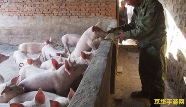 英雄联盟猪女攻略 英雄联盟猪女攻略:掌握凛冬之怒,制霸战场 英雄联盟猪女攻略 英雄联盟猪女攻略:掌握凛冬之怒,制霸战场