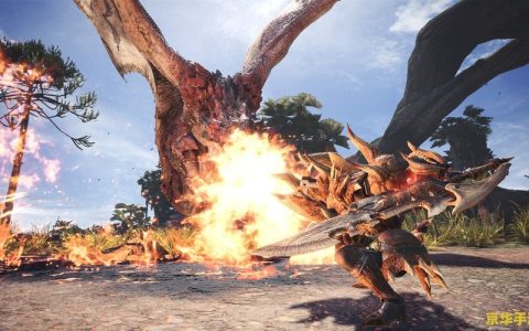 怪物猎人世界吧 怪物猎人世界中的狩猎艺术：探索、挑战与合作的完美融合