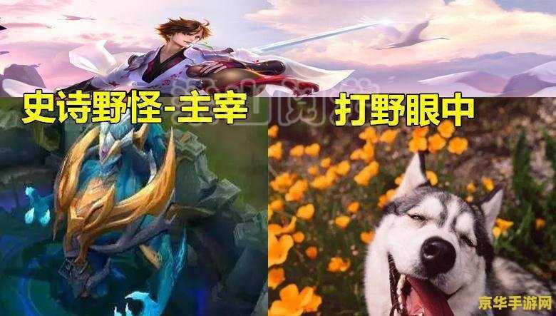 王者荣耀暴君和主宰怎么打 王者荣耀中暴君与主宰的攻略与打法 王者荣耀暴君和主宰怎么打 王者荣耀中暴君与主宰的攻略与打法