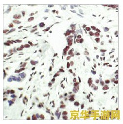 真封神服务端 <h3>真封神服务端：探索古代神话，体验封神传奇</h3>