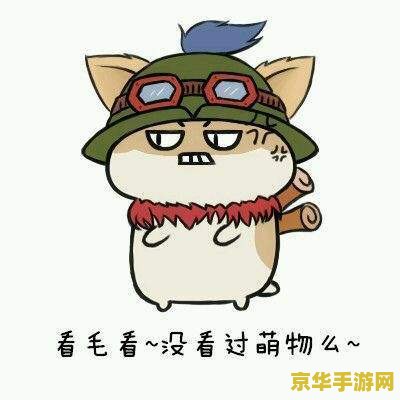 lol小仓 LOL小仓：深度解析游戏中的英雄定位与战术运用