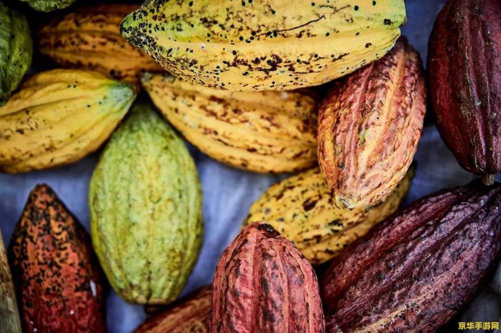 暗杀星ez 暗杀星EZ：星际刺客的传奇之旅