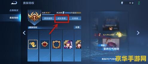 王者荣耀怎么能看积分 王者荣耀积分查看与提升攻略 王者荣耀怎么能看积分 王者荣耀积分查看与提升攻略