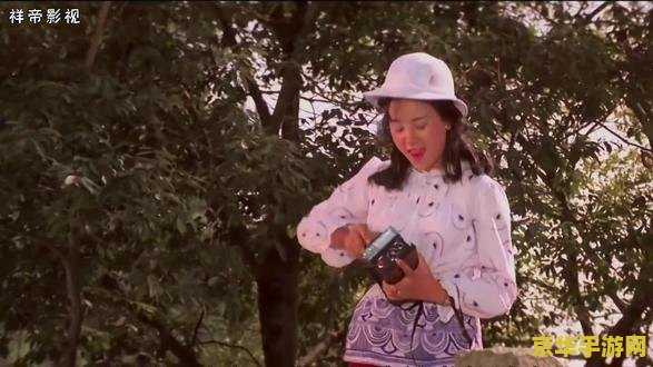 真三国无双3 真三国无双3：历史与游戏的完美融合