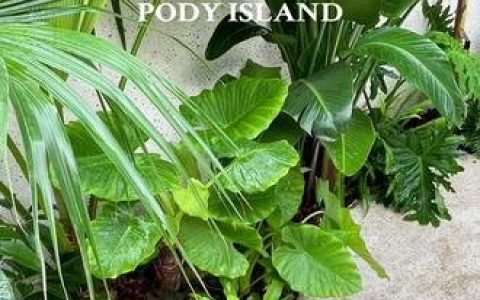 跑跑卡丁车比赛 速度与激情：跑跑卡丁车大赛