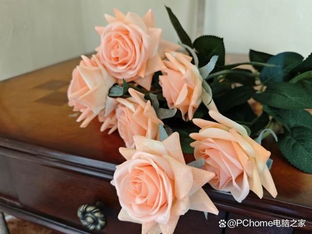 小米Civi 4 Pro手机拍照效果如何? 年轻人的第一台入门级徕卡!插图9 小米Civi 4 Pro手机拍照效果如何? 年轻人的第一台入门级徕卡!插图9