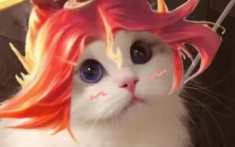 王者荣耀公益头像怎么获得 王者荣耀公益头像获取指南