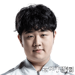 英雄联盟v5战队老板 <h3>英雄联盟V5战队：荣耀之路与背后的掌舵者</h3>